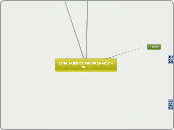 LENGUAJES DE PROGRAMACION WEB - Mapa Mental