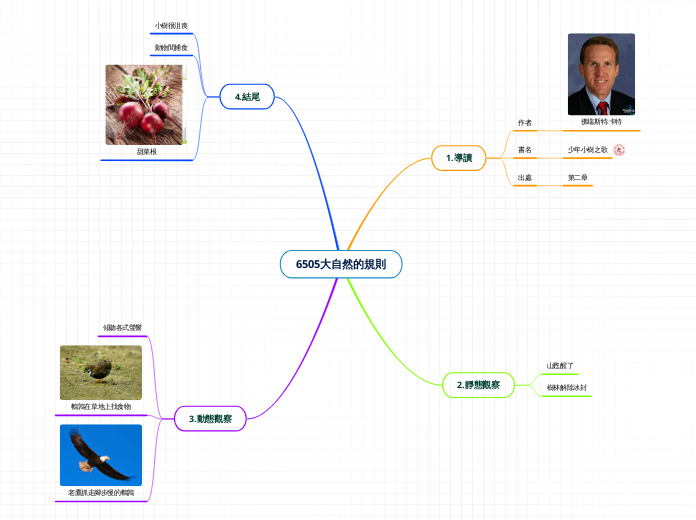 6505大自然的規則