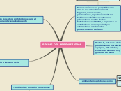 REGLAS DEL APRENDIZ SENA - Mapa Mental