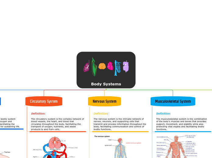 Body Systems - Mind Map