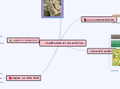 clasificacion de los archivos - Mapa Mental