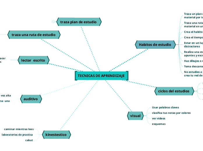 TECNICAS DE APRENDIZAJE 