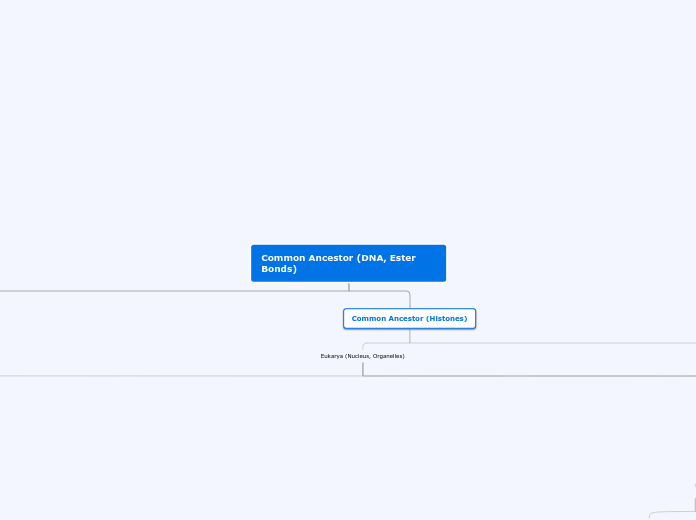 Common Ancestor (DNA, Ester Bonds) - Mind Map