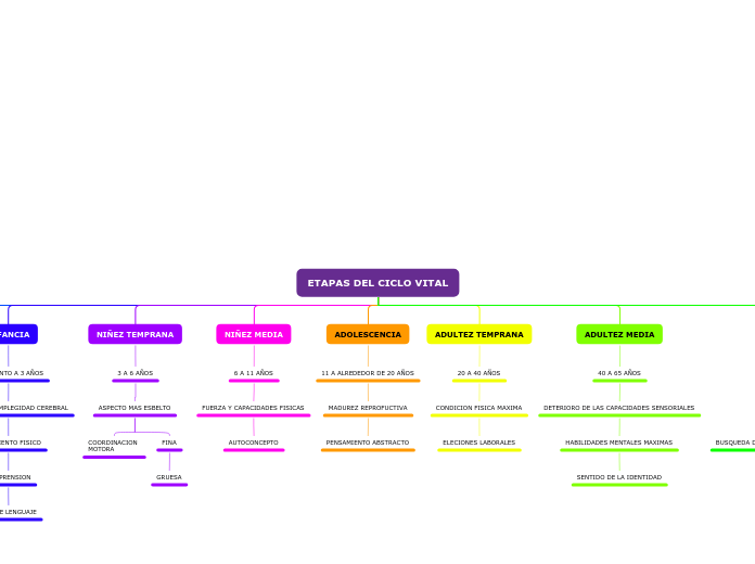 ETAPAS DEL CICLO VITAL