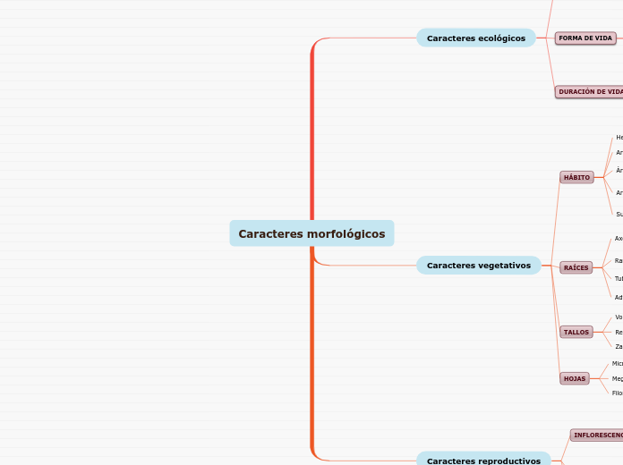 Caracteres morfológicos