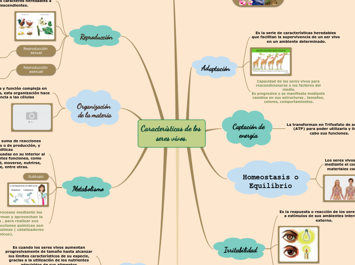 Características de los 
seres vivos.