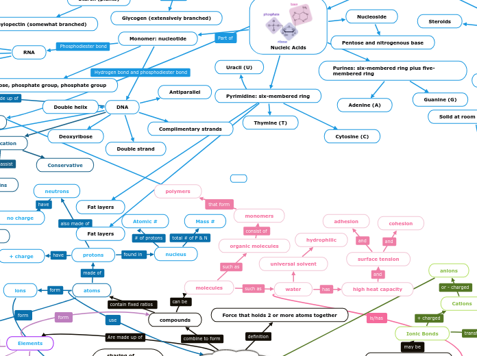 Concept Map 1