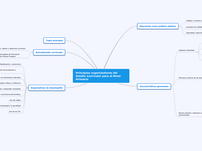 Principios organizadores del Diseño Cur...- Mapa Mental