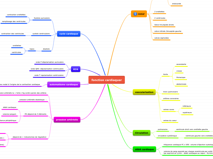 fonction cardiaque