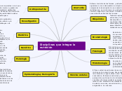 Disciplinas que integra la nutrición - Mapa Mental