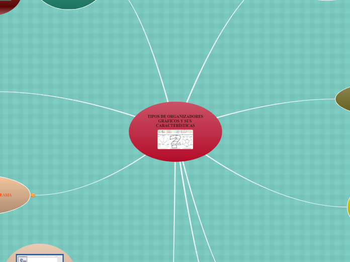 Tipos de organizadores gráficos y sus características