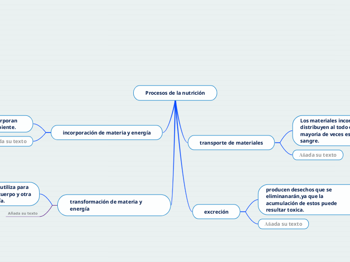 Procesos de la nutrición