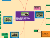 North American Brown Bear/Grizzly Bear (Ur...- Mind Map