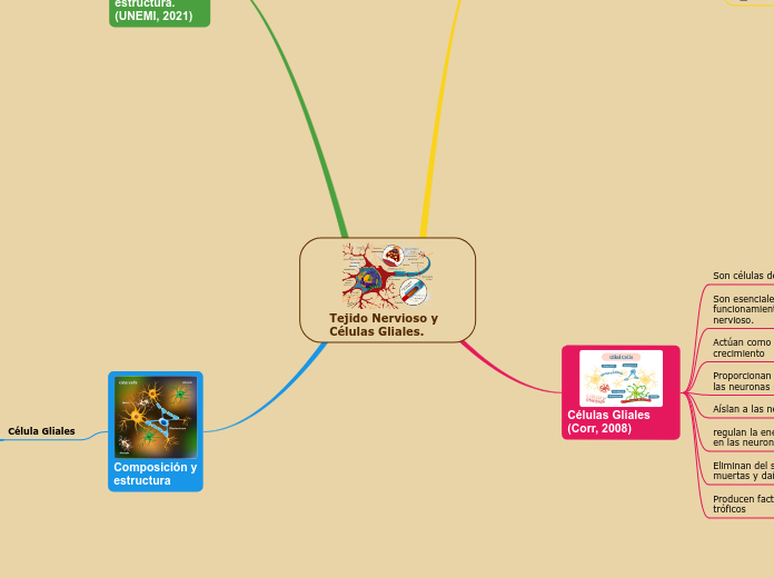 Tejido Nervioso y Células Gliales. - Mapa Mental