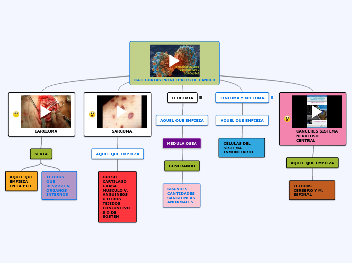 CATEGORIAS PRINCIPALES DE CANCER