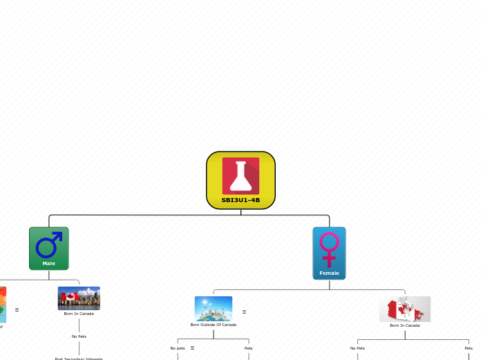 Organigram