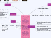 Asociación Mujeres Adolescentes - Mapa Mental