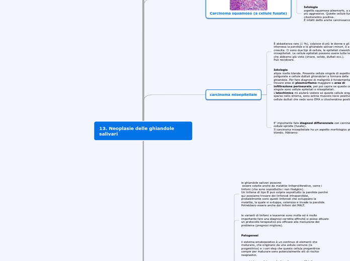 13. Neoplasie delle ghiandole salivari