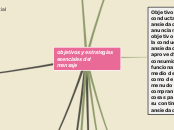 objetivos y estrategias esenciales del ...- Mapa Mental