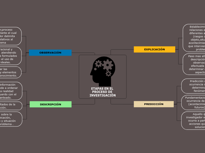 ETAPAS EN EL PROCESO DE INVESTIGACIÓN