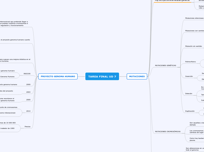 TAREA FINAL UD 7 - Mapa Mental