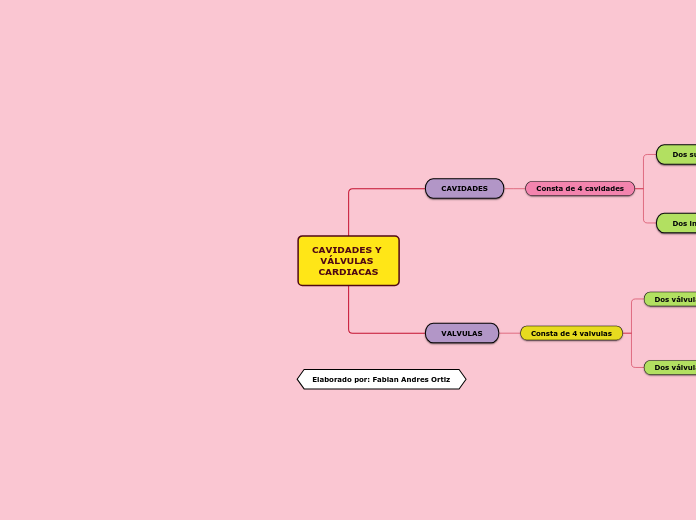 CAVIDADES Y VÁLVULAS CARDIACAS