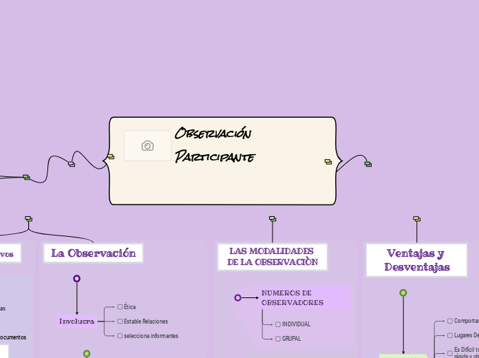 Observación Participante