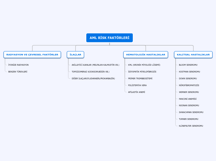 AML RİSK FAKTÖRLERİ - Mind Map