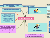 MICROFINANZAS - Mapa Mental