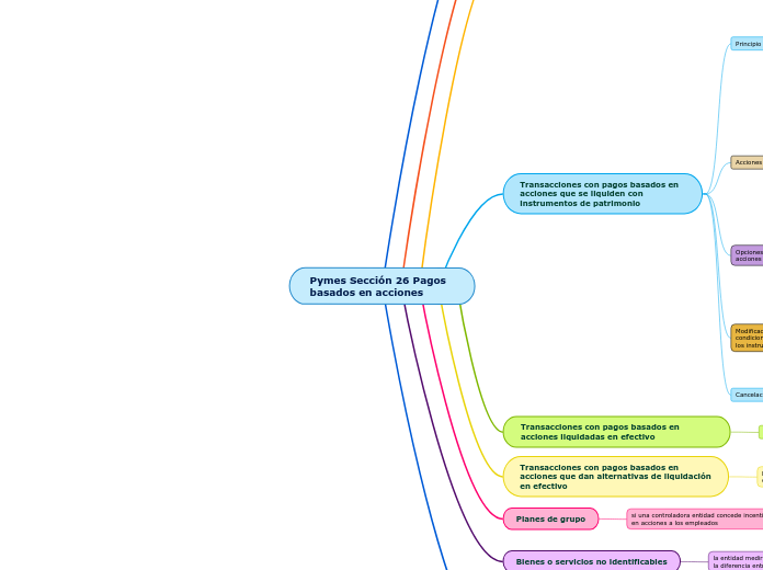 Pymes Sección 26 Pagos basados en acciones