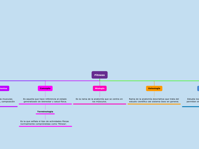 Fitness - Mapa Mental