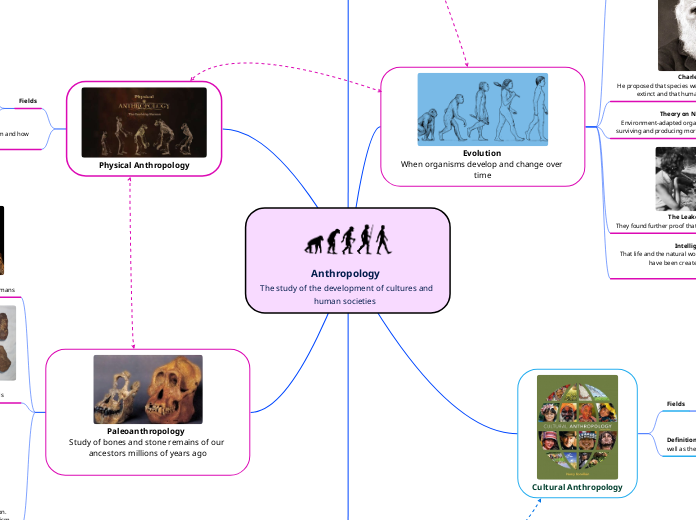 Anthropology  
The study of the development of cultures and human societies   