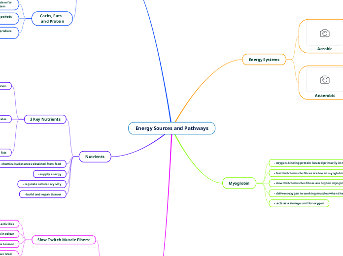 Energy Sources and Pathways