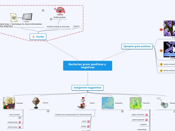 Bacterias gram positivas y negativas