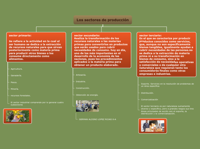 Organigrama arbol