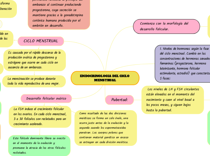 ENDOCRINOLOGIA DEL CICLO MENSTRUAL