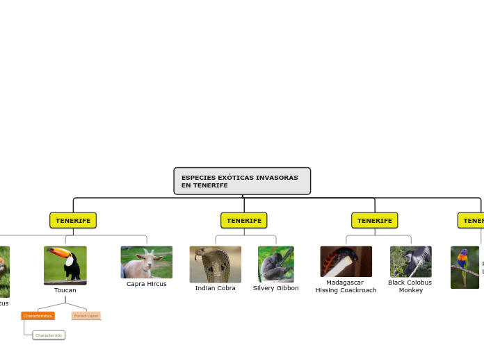 ESPECIES EXÓTICAS INVASORAS EN TENERIFE