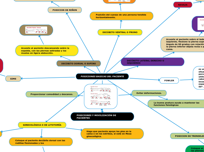 POSICIONES BASICAS DEL PACIENTE