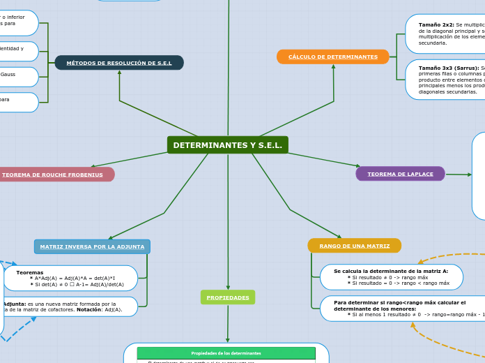 DETERMINANTES Y S.E.L.