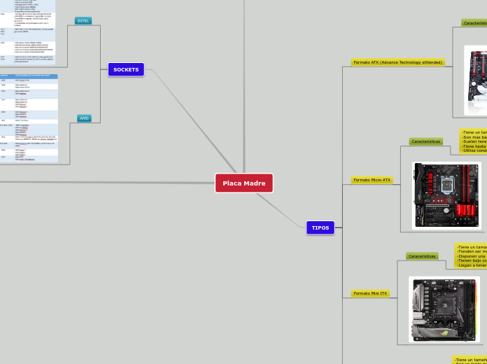Tipos de Placa Madre