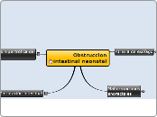 Obstruccion intestinal neonatal