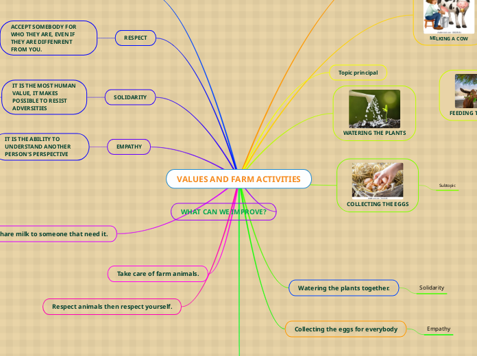 VALUES AND FARM ACTIVITIES