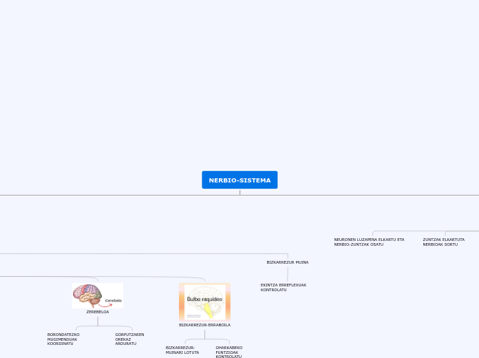 NERBIO-SISTEMA - Mind Map