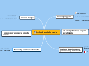 Nederlands opdracht invloed sociale media