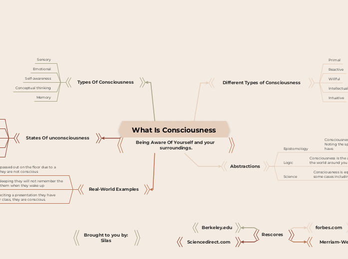 What Is Consciousness