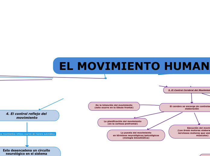 EL MOVIMIENTO HUMANO