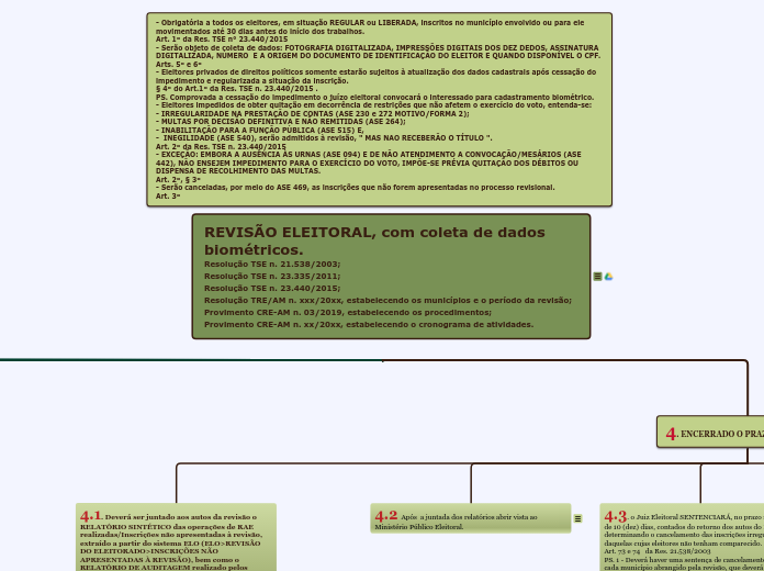 REVISÃO ELEITORAL, com coleta de dados ...- Mapa Mental