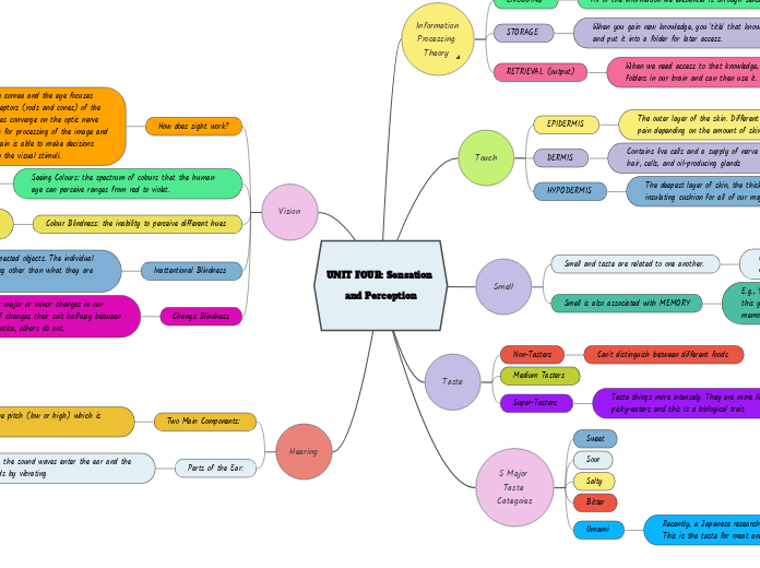 UNIT FOUR: Sensation and Perception