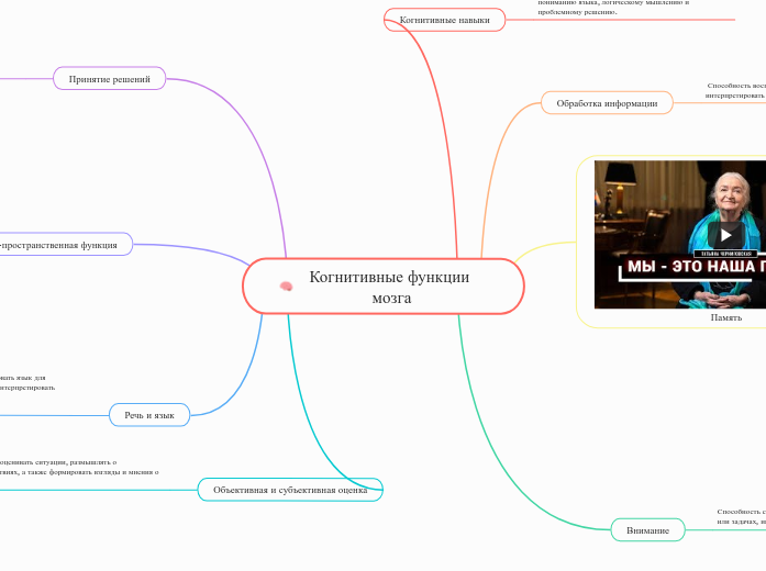 Когнитивные функции мозга