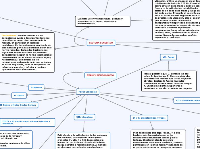 EXAMEN NEUROLOGICO